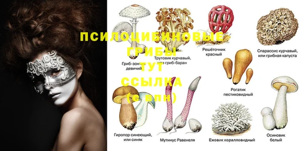 мдма Вяземский